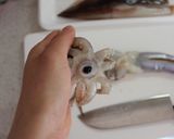 基本のイカのさばきかた。作り方8写真