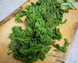 タラの芽の胡麻味噌和え作り方2写真