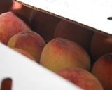 ピーチパイ　Peach Pie作り方1写真
