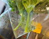 大葉の保存方法作り方1写真