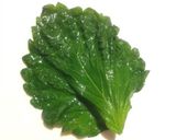 ほうれん草の梅しそおひたし作り方2写真