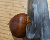 栗の渋皮煮作り方2写真