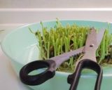豆まめ豆まめ豆サラダ♪（5種の豆入り♪）作り方5写真