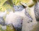 パセポン。作り方39写真