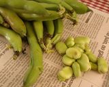 そら豆ご飯作り方1写真