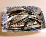 いわしのイタリアン風作り方1写真