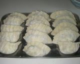 うそっこ先生の肉無し粗挽き豆腐餃子作り方7写真