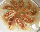 うそっこ先生の肉無し粗挽き豆腐餃子作り方9写真