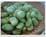 そら豆の・・オリーブオイル漬け~♪作り方1写真