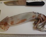 初心者でもできるイカの塩辛（黒作り）。作り方1写真