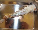 初心者でもできるイカの塩辛（黒作り）。作り方2写真