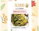 ♡たらの芽の天ぷら♡めも用📝作り方9写真