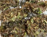 何度食べても飽きない!もずくの天ぷら作り方7写真