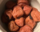 梅干し日記作り方61写真