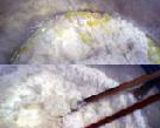 三つ編みパン　～オリーブオイル＆はちみつ入り～作り方1写真