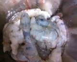 エビの下処理作り方6写真