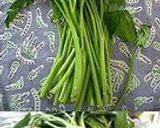 烏賊と空芯菜の簡単野菜炒め作り方5写真