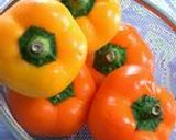 烏賊と空芯菜の簡単野菜炒め作り方6写真