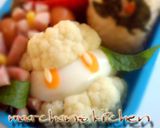 メロメロなツタージャ♥キャラ弁♥ポケモン作り方10写真