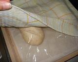 ホシノ天然酵母でつくる全粒粉パン【HB】作り方9写真