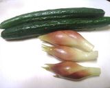 茗荷とキュウリの和え物作り方2写真