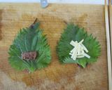 イワシの梅しそ＆チーズ巻き✿作り方3写真