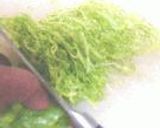 昆布風味とまとさらだ。作り方10写真