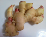 お弁当に…新ショウガと豚肉の炒めもの作り方1写真