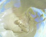 絶対できる＊マカロン＊ココアと抹茶作り方4写真