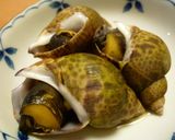 つぶ貝の旨煮作り方11写真