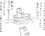 ネコムライス漁師風作り方7写真