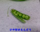 初夏限定～豆ごはん♪作り方1写真
