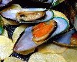 15分しーふーどかれー作り方18写真