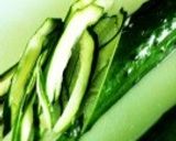 キャベツと胡瓜の中華和え作り方1写真
