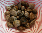 アサリと豚バラでクタクタ白菜の旨煮作り方1写真