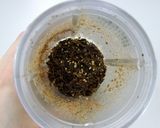 ご飯が進む 昆布ふりかけ！作り方3写真