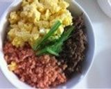 三色そぼろ丼作り方5写真