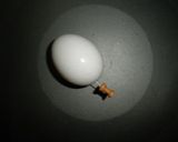 おうちラーメンのための味付け煮玉子作り方3写真