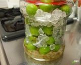 梅シロップ作り方5写真