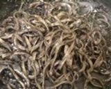 いかすみのスパゲッティ作り方6写真
