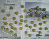 2011 梅酒作り方1写真