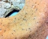 量りなしでできる★シフォンケーキ作り方8写真