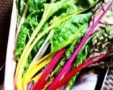 ふだん草と玉ねぎのかき揚げ作り方1写真