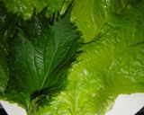 野菜たっぷり！簡単韓国料理茹で豚ポッサム作り方7写真