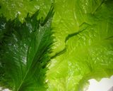 野菜たっぷり！簡単韓国料理茹で豚ポッサム作り方6写真
