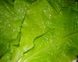 野菜たっぷり！簡単韓国料理茹で豚ポッサム作り方5写真