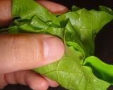 野菜たっぷり！簡単韓国料理茹で豚ポッサム作り方21写真