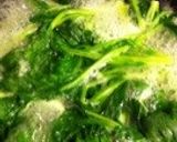 ほうれん草とキノコの豆乳ポタージュ作り方1写真