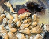 牡蠣のオイル漬け作り方3写真
