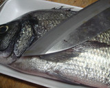 鯛を三枚おろし⇒刺身にしてみます作り方1写真